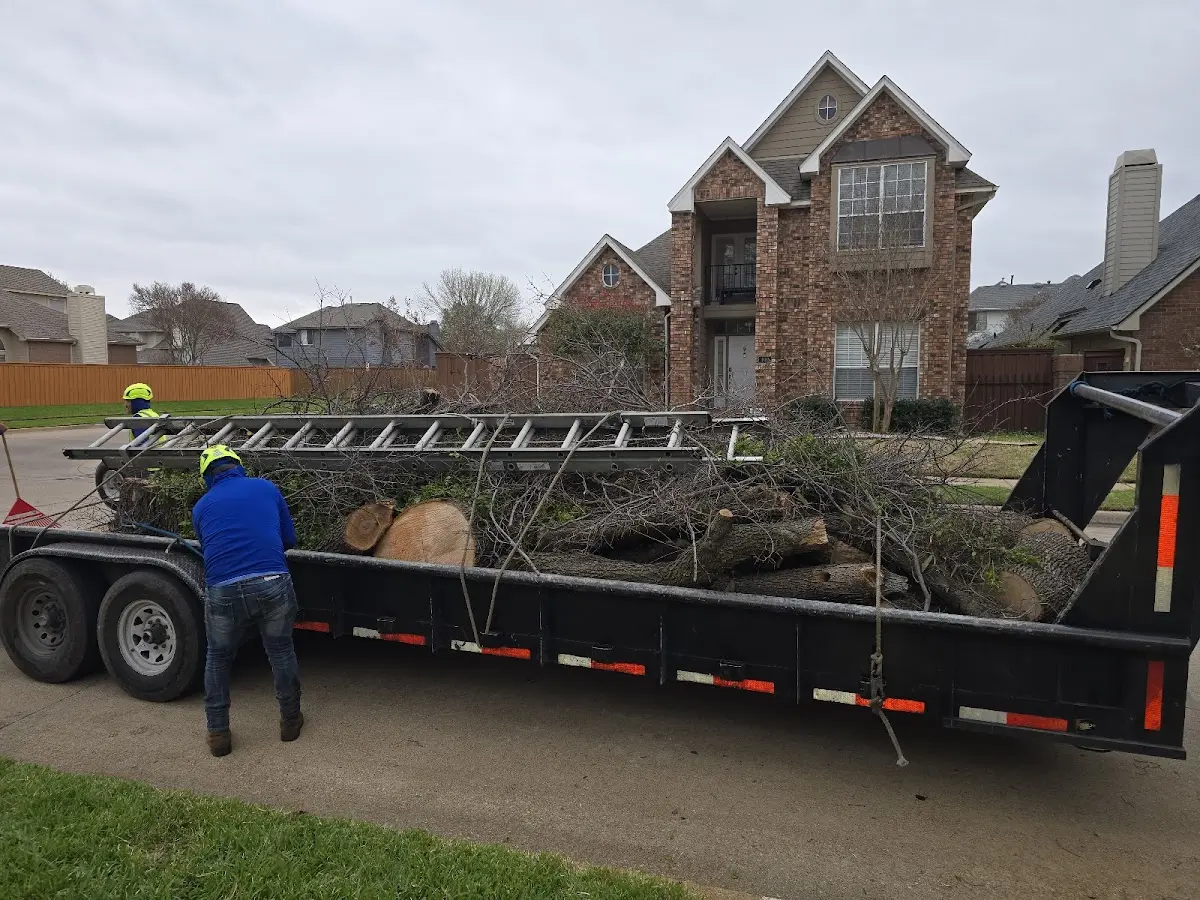 Expert Tree Pest Control with proper safety equipment in Egeland